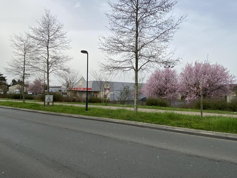 Local commercial - 1 267 m²