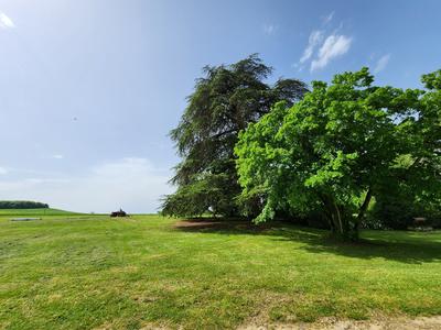 Maison - 250 m² - 6 pièces