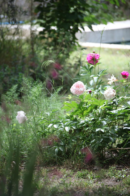 Aata massage - ayurveda &amp; watsu