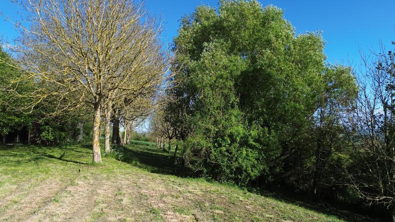 Villa - 175 m² - 6 pièces