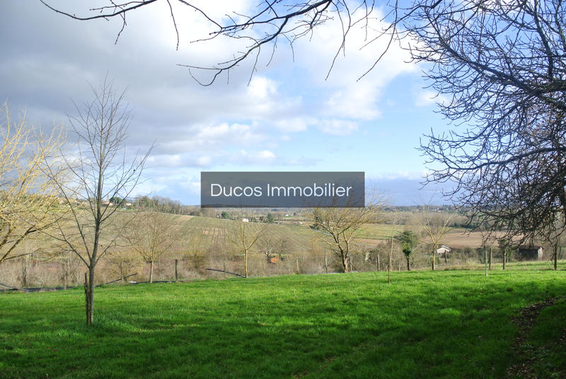 Maison - 330 m² - 1 pièce