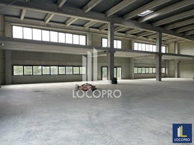 Local d'activité / Entrepôt - 3 432 m²