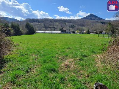 Terrain constructible - 4 506 m²