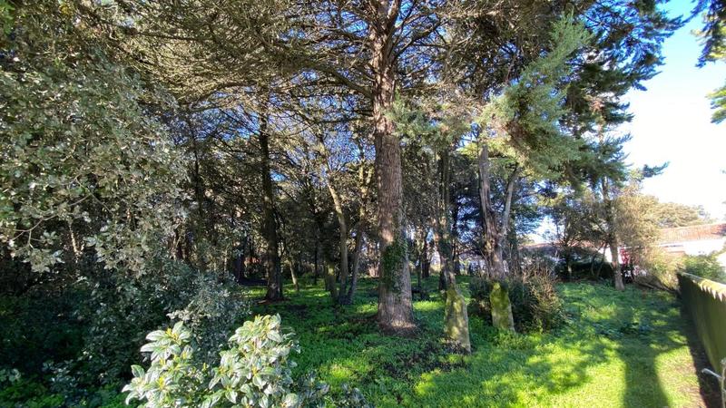 Terrain constructible - 2 000 m²