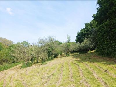 Moulin - 140 m² - 8 pièces