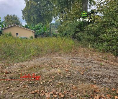 Terrain - 564 m²