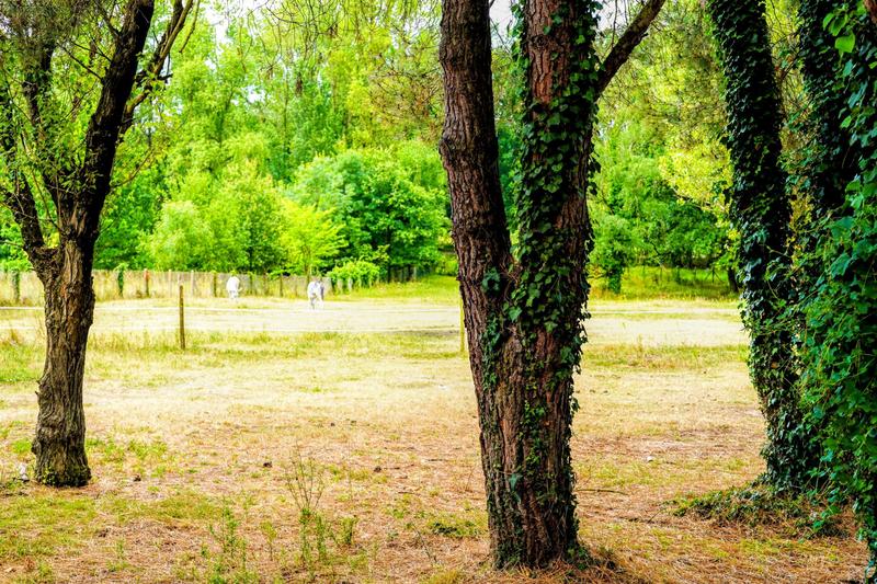 Villa - 268 m² - 8 pièces