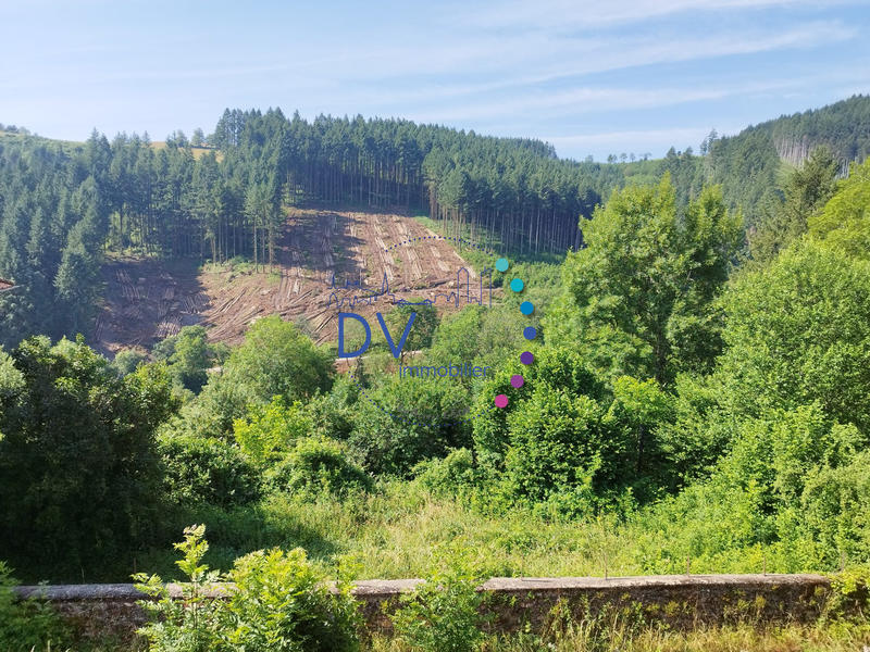 Ferme - 160 m² - 8 pièces