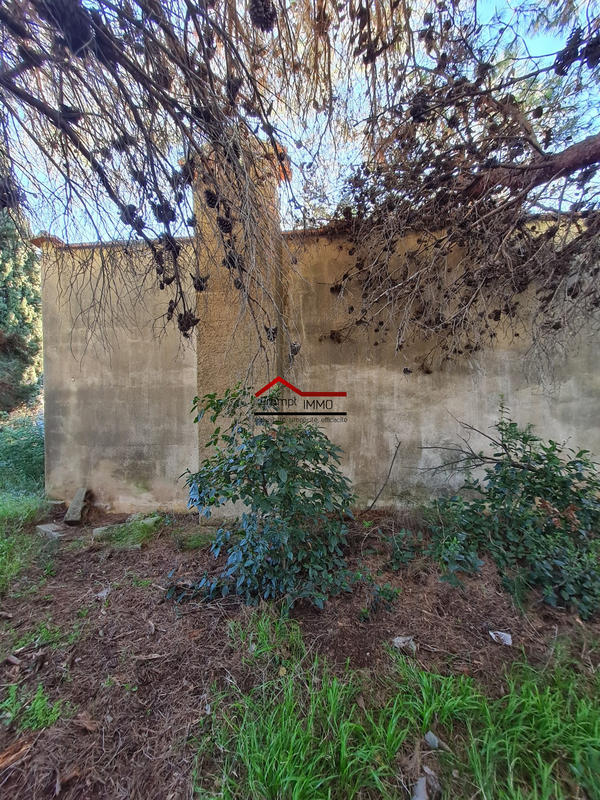 Terrain agricole - 5 730 m²