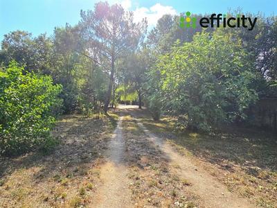 Pavillon - 75 m² - 2 pièces