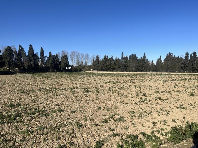 Terrain agricole - 65 685 m²