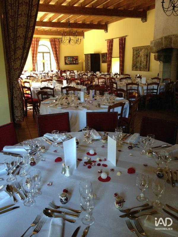 Château - 700 m² - 21 pièces