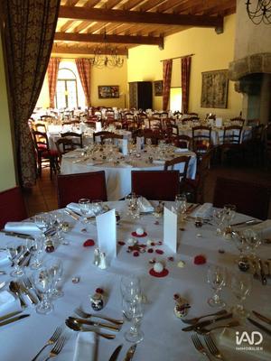 Château - 700 m² - 21 pièces