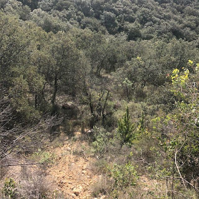 Terrain - 11 260 m²