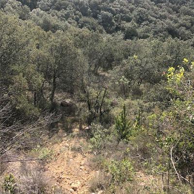 Terrain - 11 260 m²