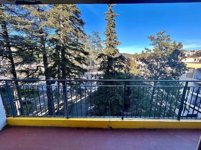 Studio - 24 m² - 1 pièce