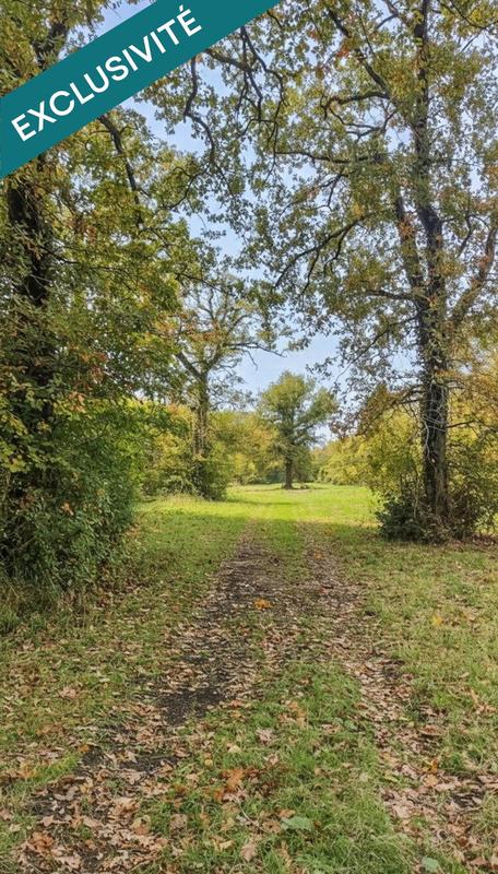 Terrain - 697 767 m²