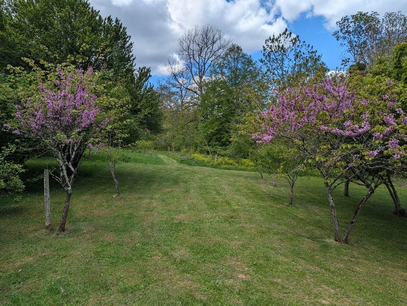 Propriété - 399 m² - 17 pièces