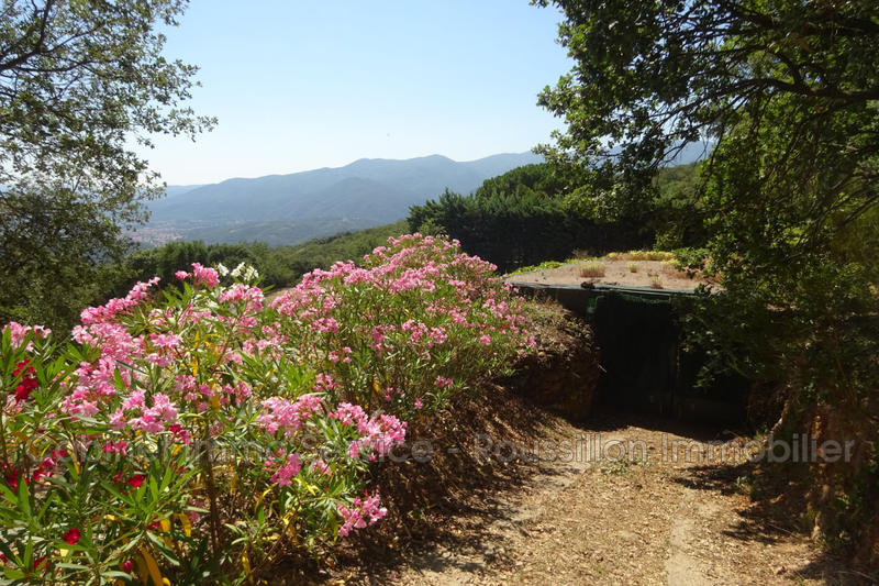 Villa - 235 m² - 7 pièces