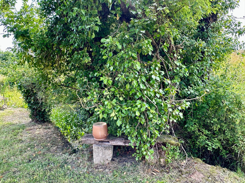 Maison - 187 m² - 6 pièces