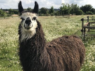 Mission Areka - Parc à thème - Défiplanet