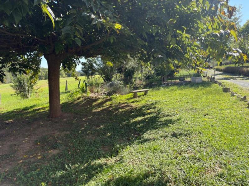 Propriété - 300 m² - 9 pièces