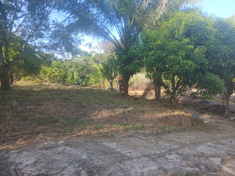 Terrain agricole - 10 004 m²