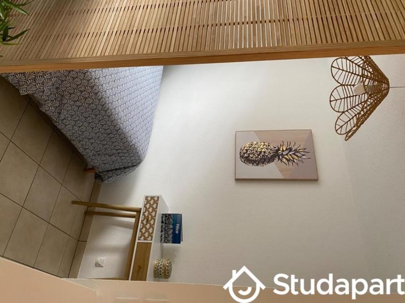 Appartement - 30 m² - 1 pièce