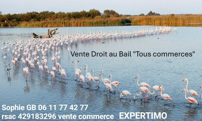 Fonds de commerce - Local commercial - 32 m²