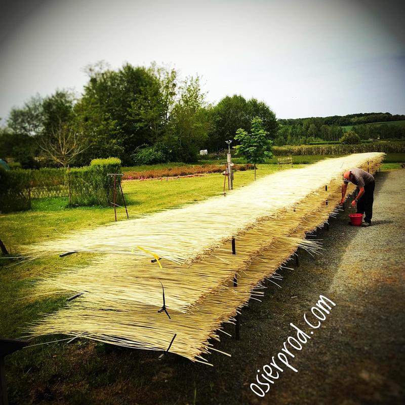 Visite d'une exploitation productrice d'osier &quot;la pèlerie&quot;