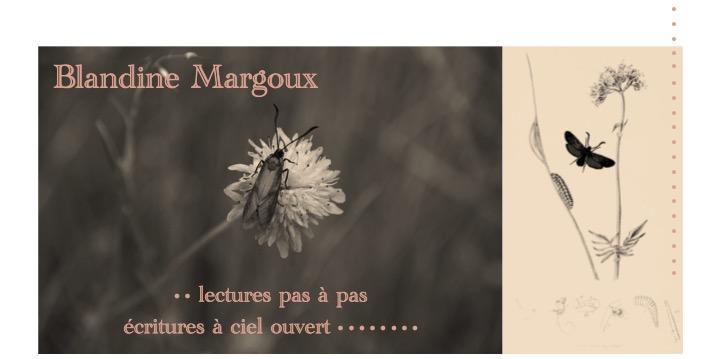 Objets &amp; Collections • Atelier d'écriture créative