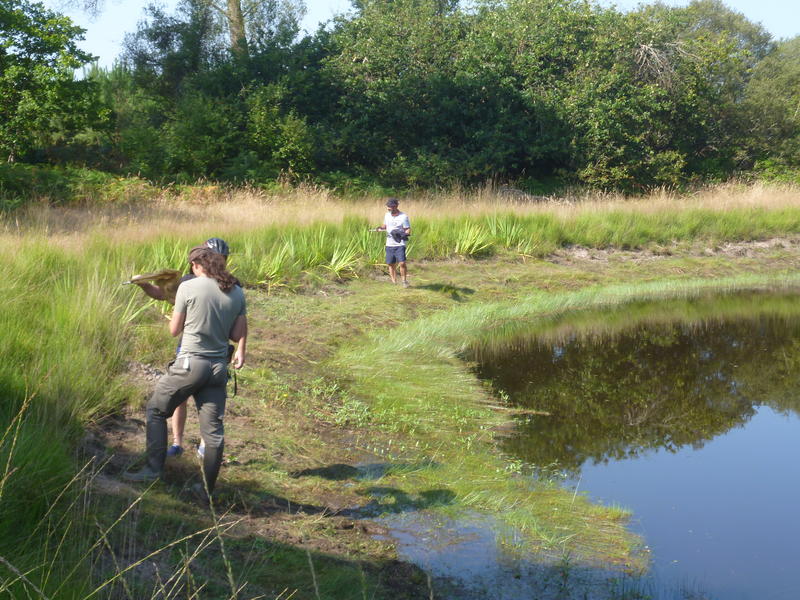 Les Mardis découverte  "Les Lagunes de l'âge glaciaire "