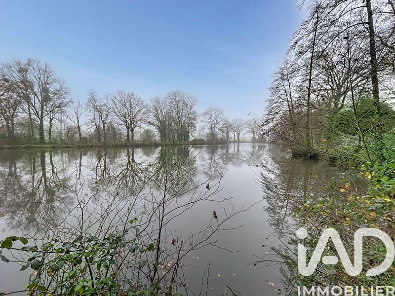 Terrain - 11 312 m²