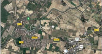 Terrain agricole - 50 000 m²