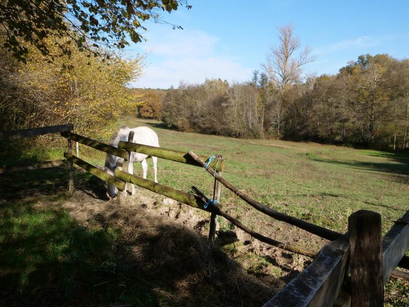 Maison - 80 m² - 3 pièces