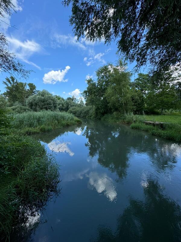 Randonnée pédestre