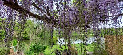 Maison - 180 m² - 4 pièces