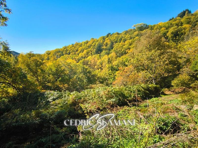 Terrain constructible - 1 729 m²