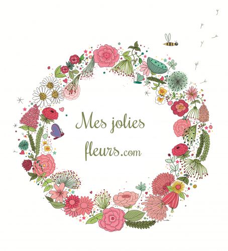 Mes Jolies Fleurs