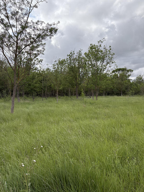 Terrain de loisirs - 3 800 m²