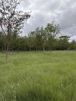 Terrain de loisirs - 3 800 m²