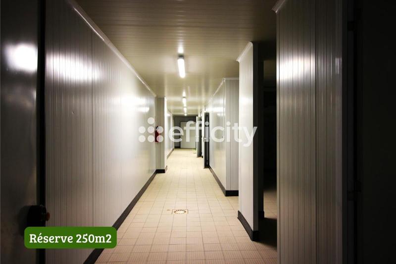 Immeuble - 1 000 m²
