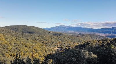 Terrain - 7 200 m²