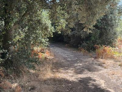 Terrain constructible - 528 m²