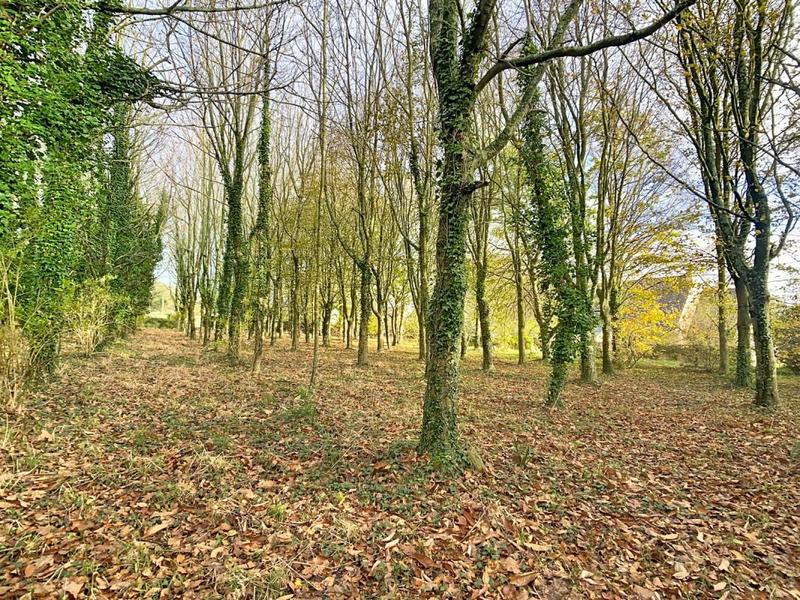 Maison de campagne - 178 m² - 13 pièces