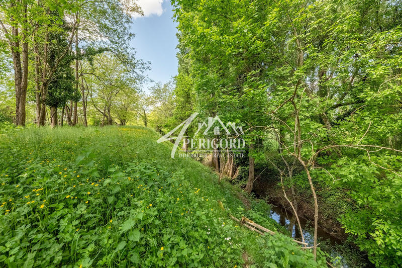 Maison ancienne - 360 m² - 13 pièces