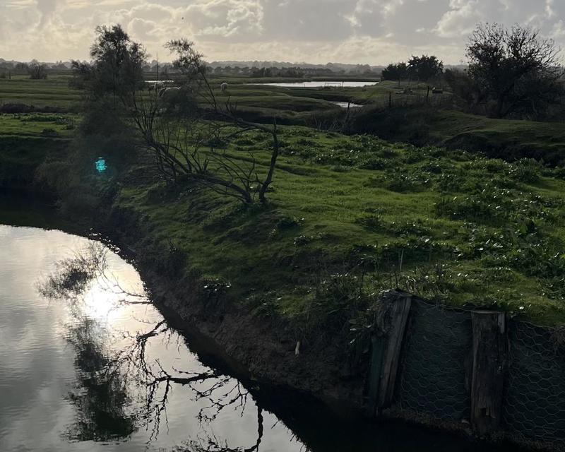 Terrain - 11 140 m²