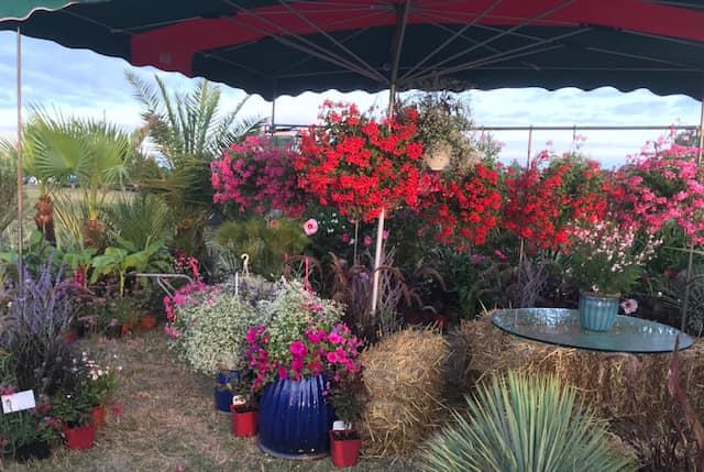 Grande Foire Agricole