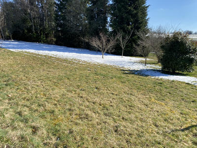 Terrain - 1 804 m²