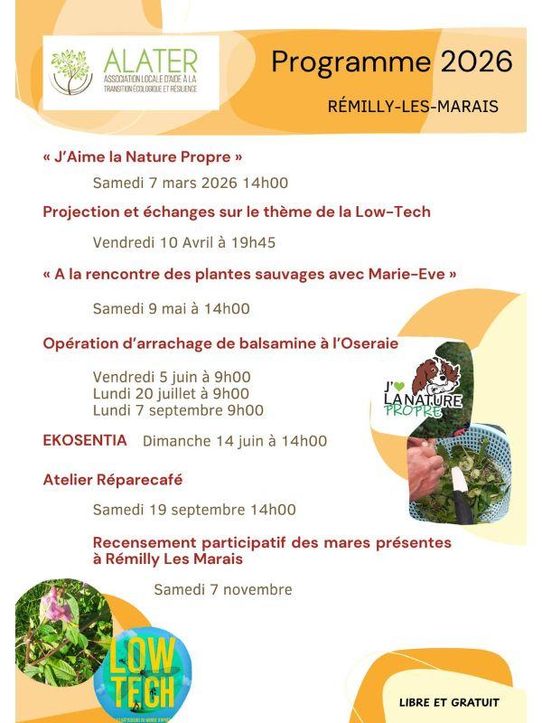 A la rencontre des plantes sauvages